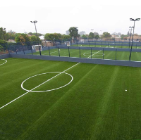 Artificial Grass_sport 1 Artificial Grass_sport 1