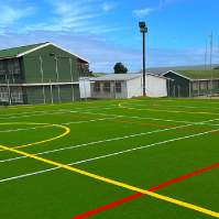 Artificial Grass_sport 3 Artificial Grass_sport 3