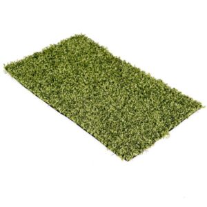 Syn Oval Pro 11mm (1)