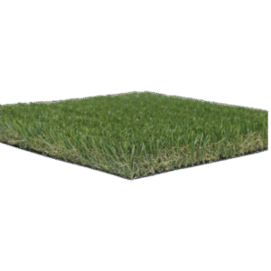 35mm grass